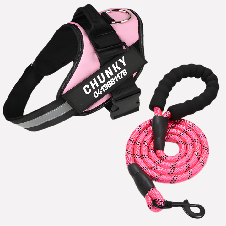 Personalized Anti-Pull Dog Harness