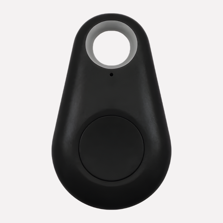 Real-Time Location Tracking for Pets