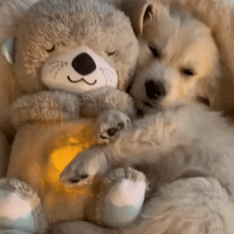 Calming Cuddle Plush Toy