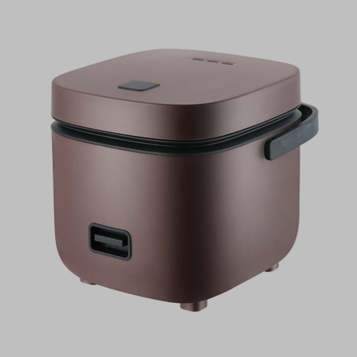 Mini Rice Cooker and Steamer