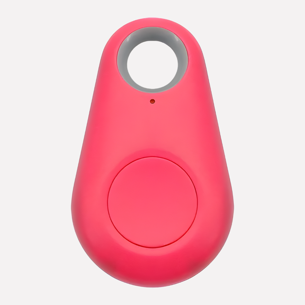 Real-Time Location Tracking for Pets