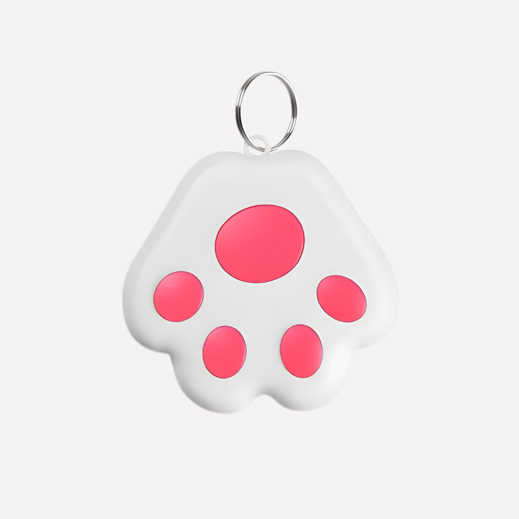 Real-Time Location Tracking for Pets