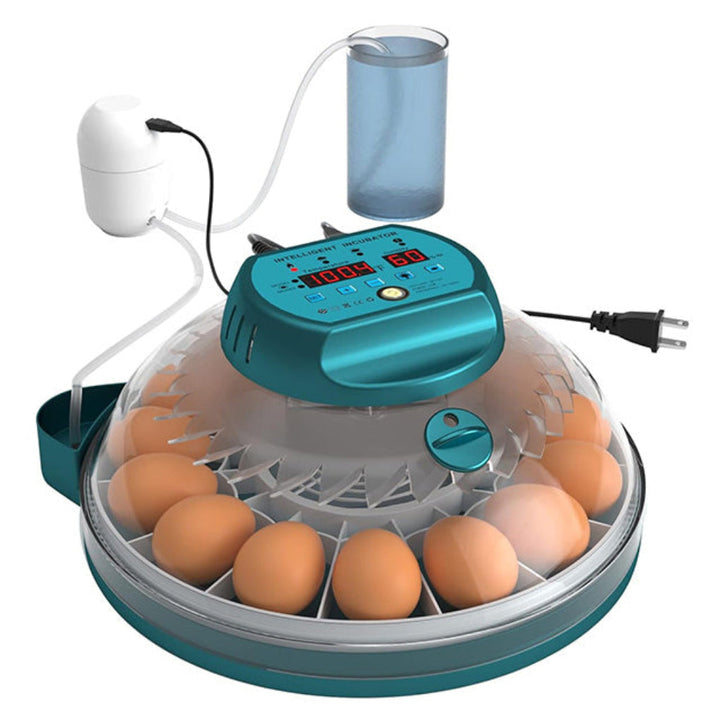 15 Eggs Incubator with Automatic Humidity Control