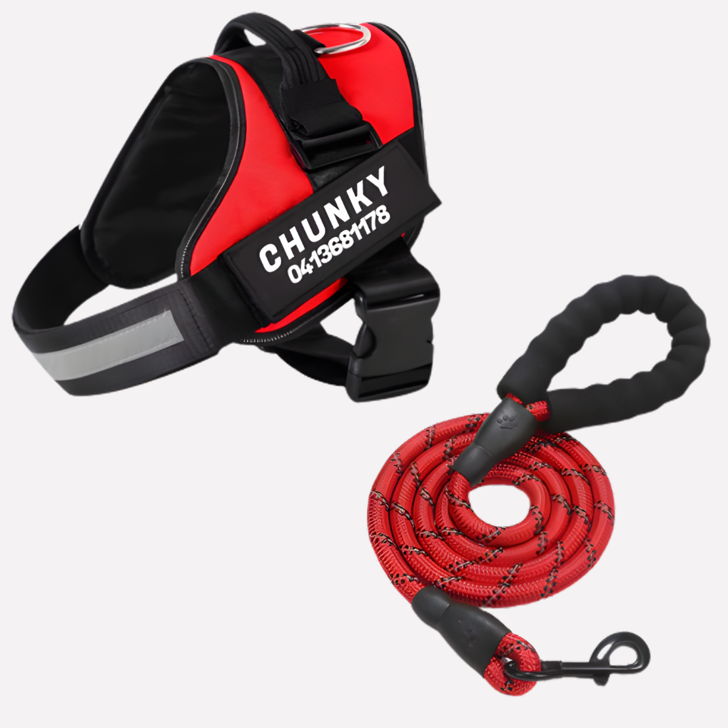 Personalized Anti-Pull Dog Harness