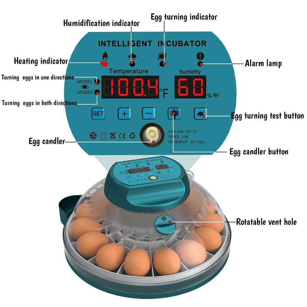 15 Eggs Incubator with Automatic Humidity Control