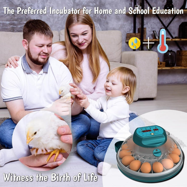 15 Eggs Incubator with Automatic Humidity Control