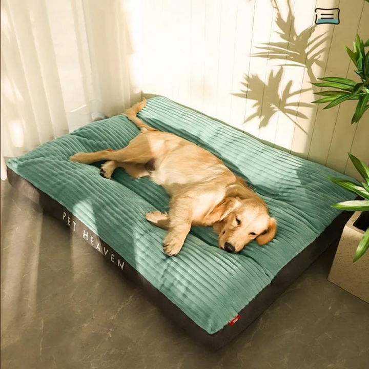Dog Cushion for Rest and Relaxation
