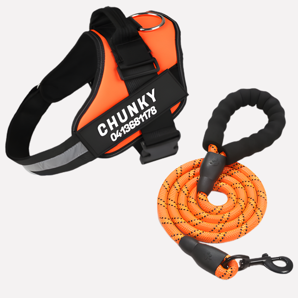 Personalized Anti-Pull Dog Harness