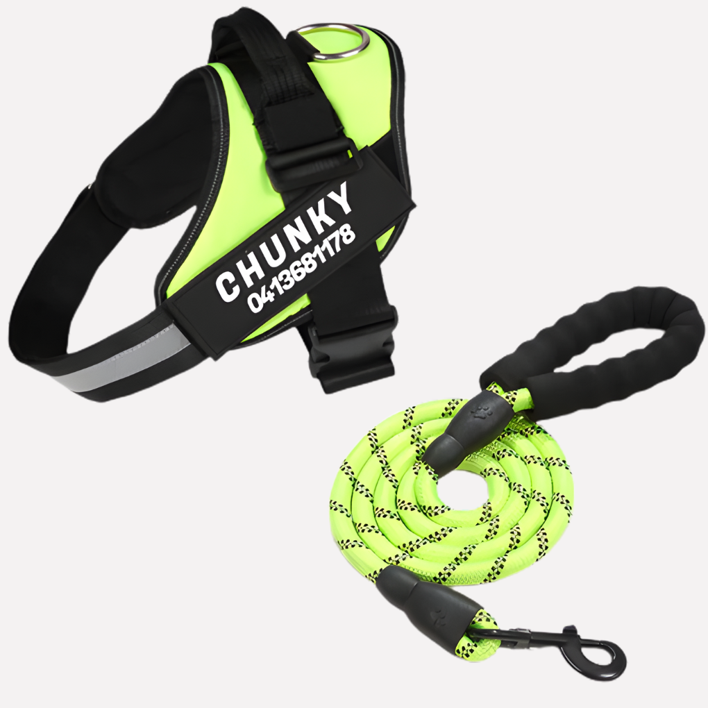 Personalized Anti-Pull Dog Harness