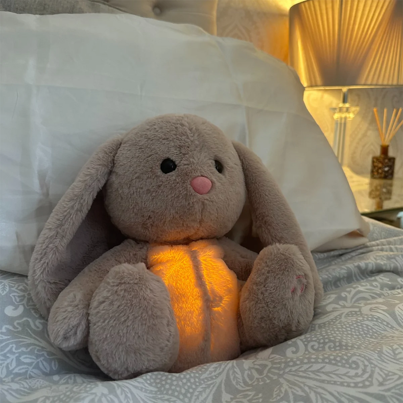 Calming Cuddle Plush Toy
