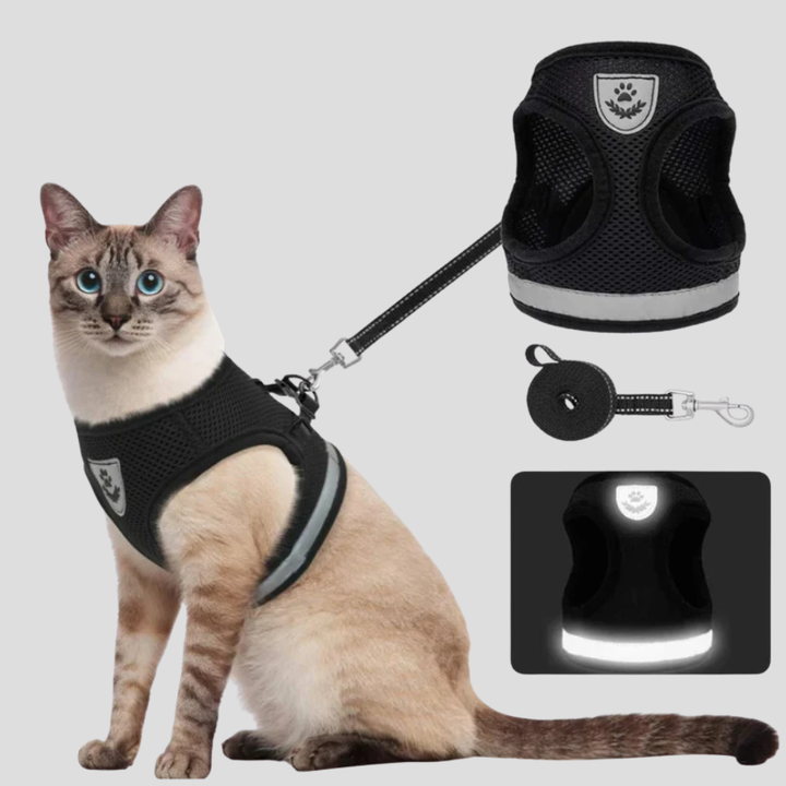 Cat Harness with Leash
