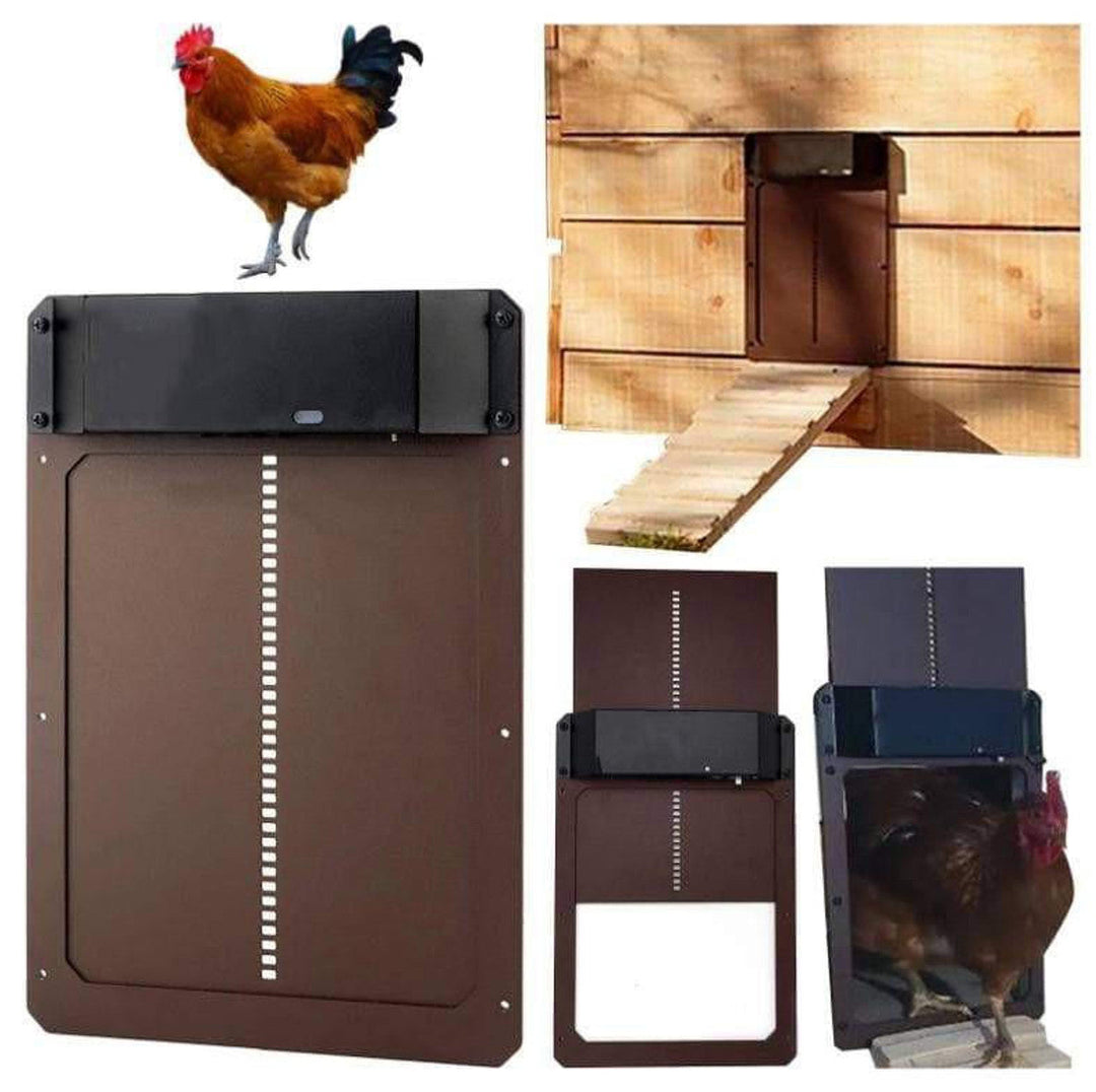 Automatic Chicken Coop Door – Effortless Protection for Your Flock